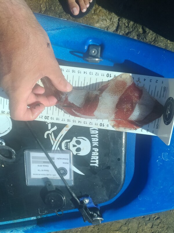 Fish Measure Picture